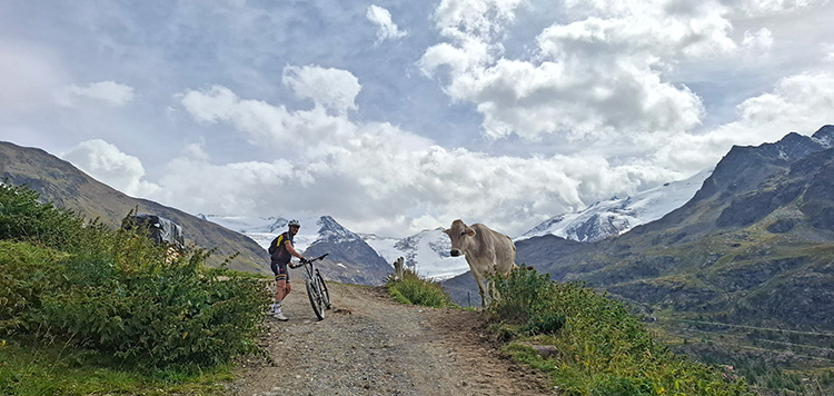 Bormio 360