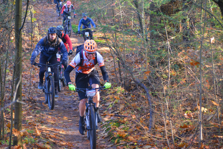 Vasa Bikedag tocht