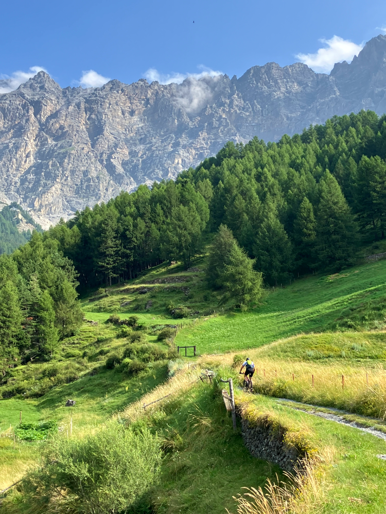 Bormio360 MTb Vasa Sport