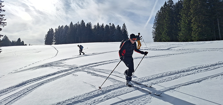 BC feldberg