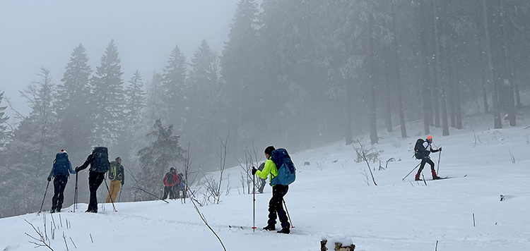 BC Feldberg