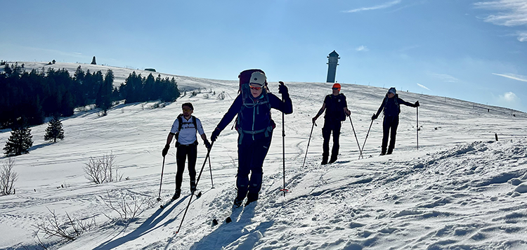 BC feldberg