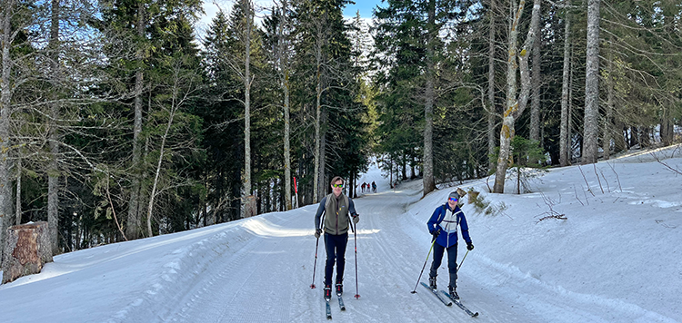 Bc Schwarzwald