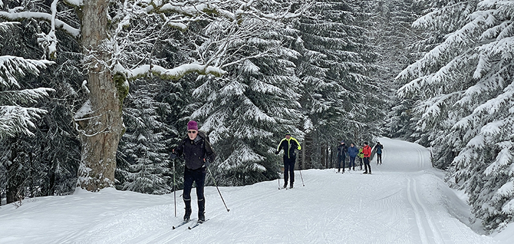 Langlauftrekking Jizerka