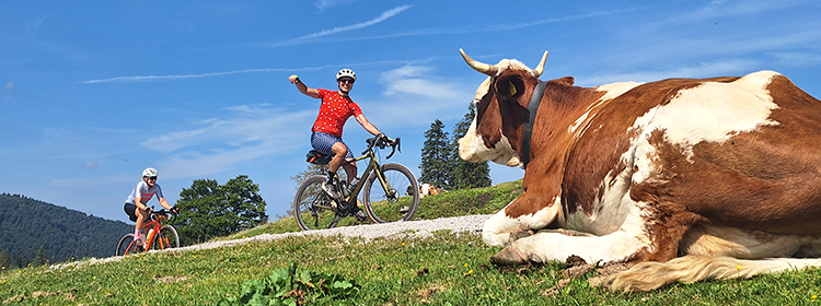 Gravelbike TransAlp Adria