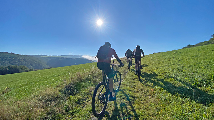 Mtb luxemburg trails