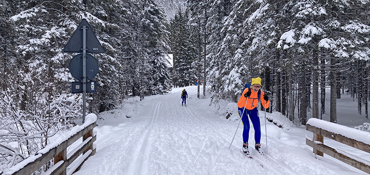 Langlaufweek Toblach