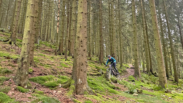 HochSauerland trails 