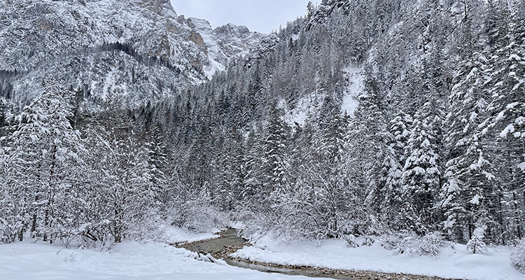 Langlaufweek Toblach