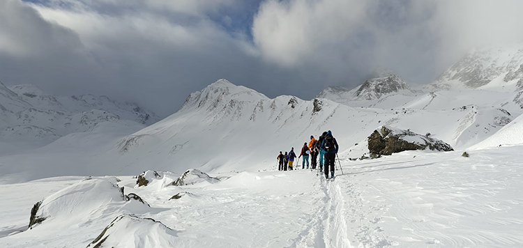 Tourski splitboard