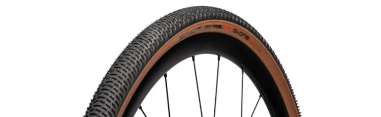 Schwalbe G-One R