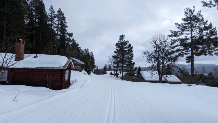 Langlaufen in Zweden