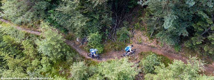 Pfälzerwald trails