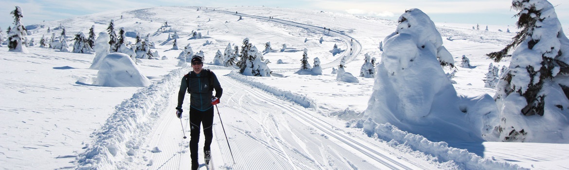 Langlauf vakantie bij Vasa Sport