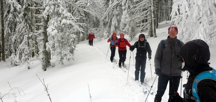 Vasa-Sport-backcountry-toerlanglaufen-reizen-Schwarzwald