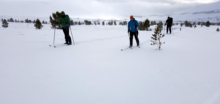 backcountry-toerlanglaufen-Rodane