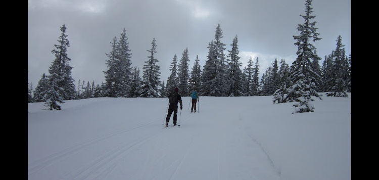 Ramsau langlaufen