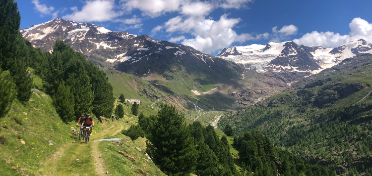 Bormio360 MTB Vasa Sport